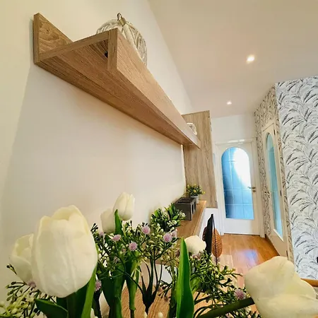 Oli's House Apartamento